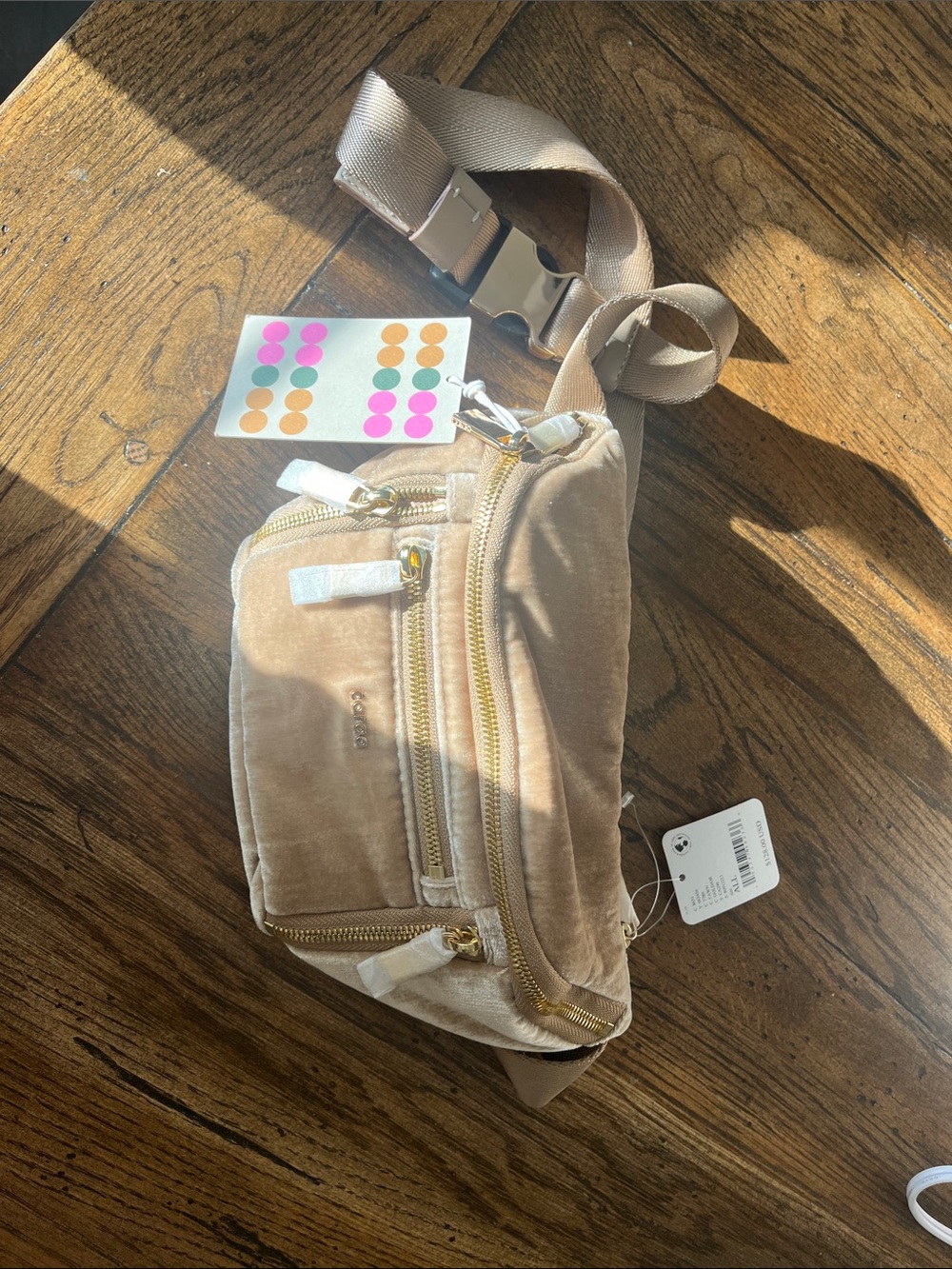 NWT Free People caraa Velvet Sling Bag